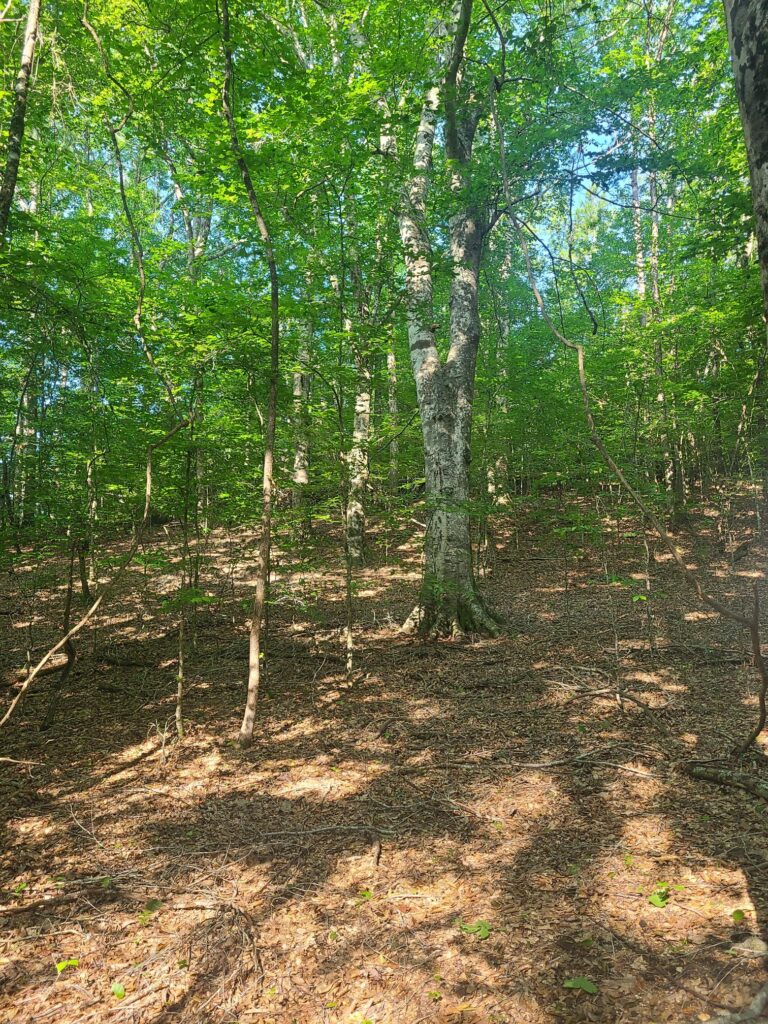 20230628_093041
